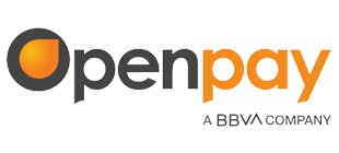 Open pay